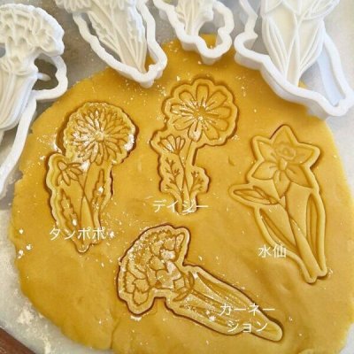 画像1: お花*4種類＜カーネーション/水仙/デイジー/タンポポ＞*cookie stamp & cutter