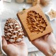 画像1: 松ぼっくり/ Pine cone*wood cookie stamp (1)