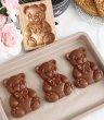 画像3: くまちゃん*Bear/wood gingerbread cookie mold (3)