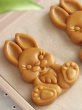 画像4: うさぎちゃん*Rabbit /wood gingerbread cookie mold (4)