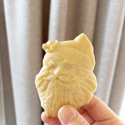 画像3: サンタクロース/wood cookie mold