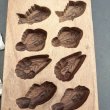 画像5: 海の生き物/ 菓子木型. (5)