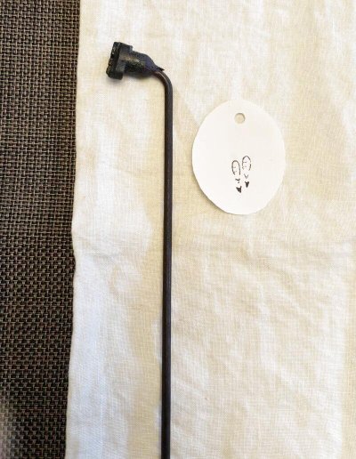 画像1: 土筆 /焼き印