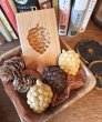 画像1: 松ぼっくり/pine corn *cookie mold/菓子木型作家 komorebi. (1)