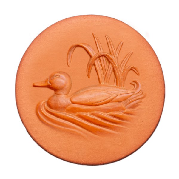 画像1: マガモ*mallard Duck (1)