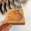画像3: りすと松ぼっくり*cookie mold (3)